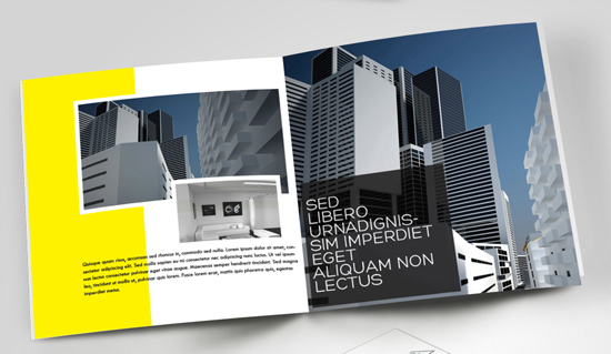 brochure